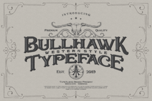 Bullhawk: The Display Font That Stops the Scroll