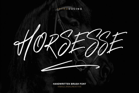 Horsesse Font: A Vibrant Display Typeface for Crafters