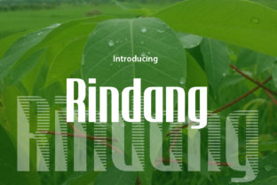 Rindang: A Fresh Display Font for Web Design